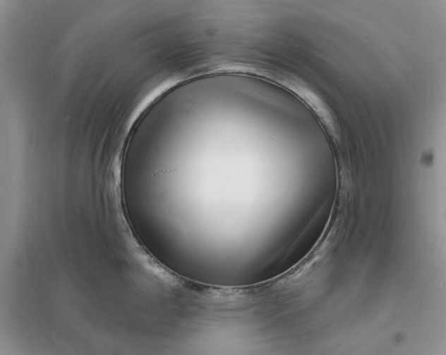 X0000096391198200802071529