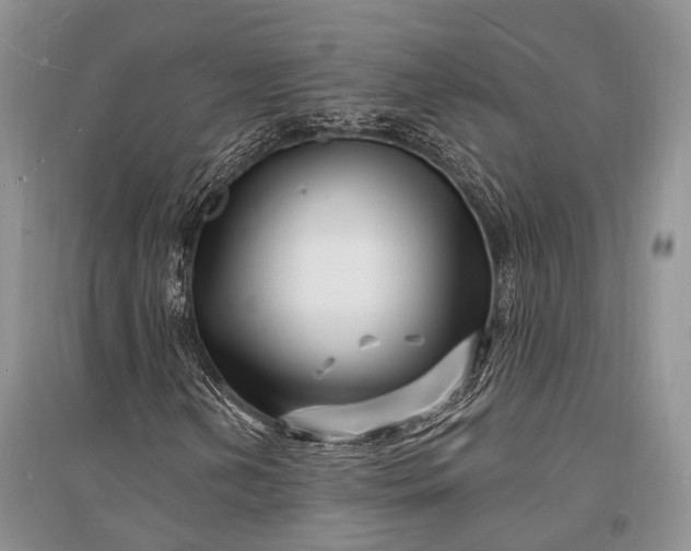 X0000096391202200802071529