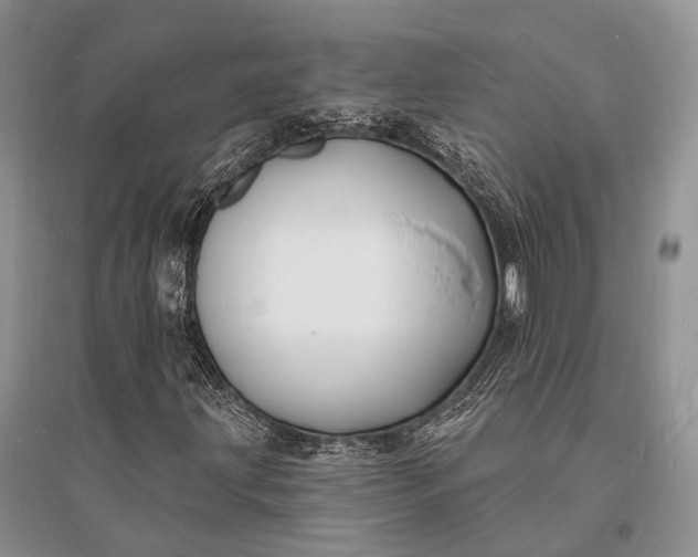X0000096391203200802071529