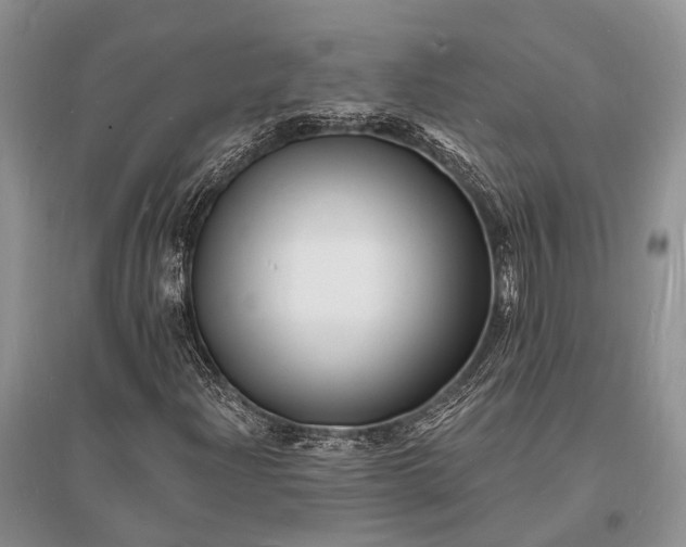 X0000096391204200802071529
