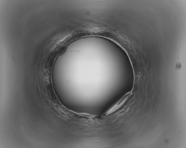 X0000096391205200802071529