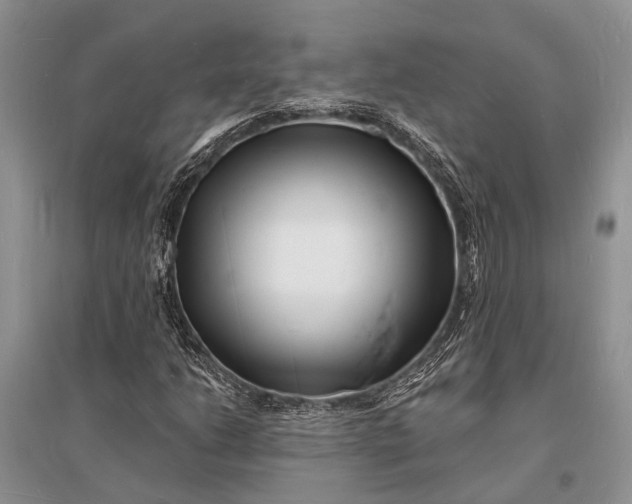 X0000096391206200802071529