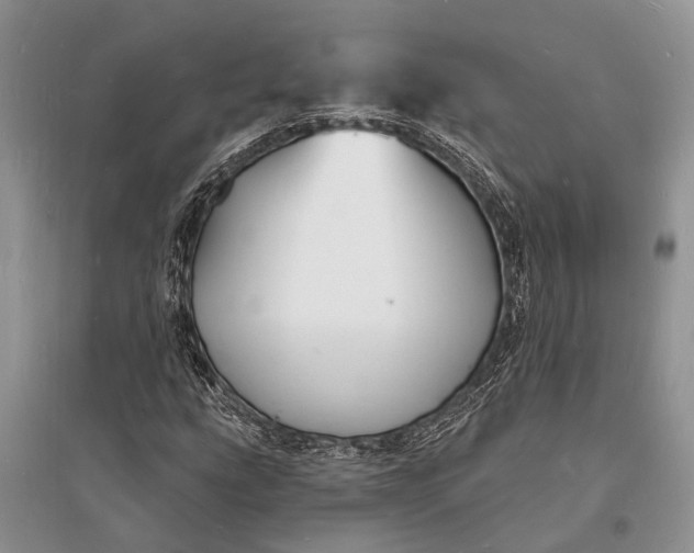 X0000096391207200802071529