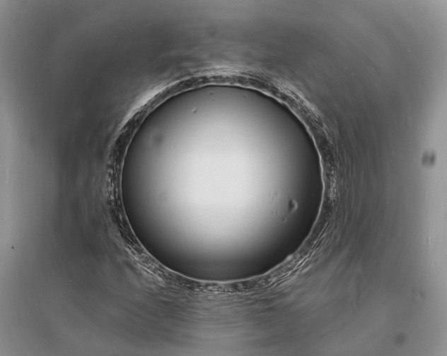 X0000096391208200802071529