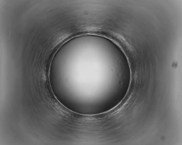 X0000096391209200802071529