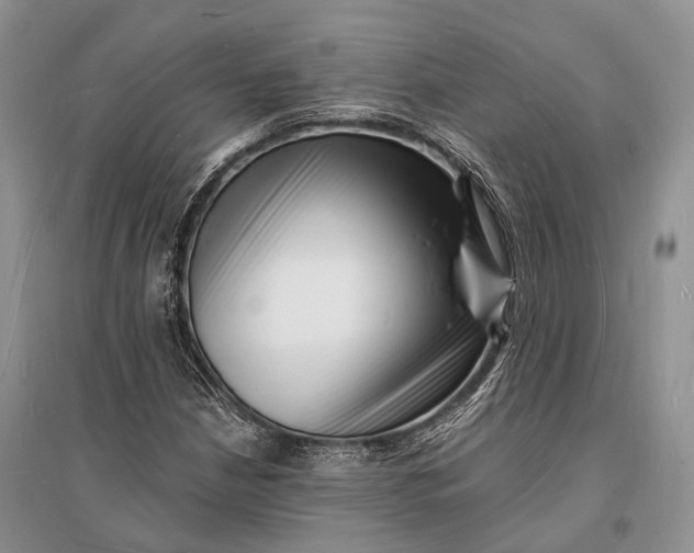 X0000096391210200802071529
