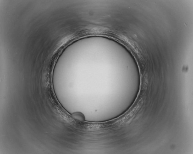 X0000096391211200802071529