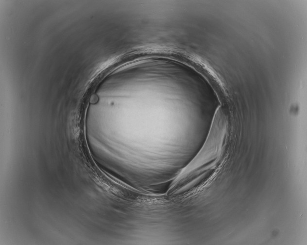 X0000096391213200802071529