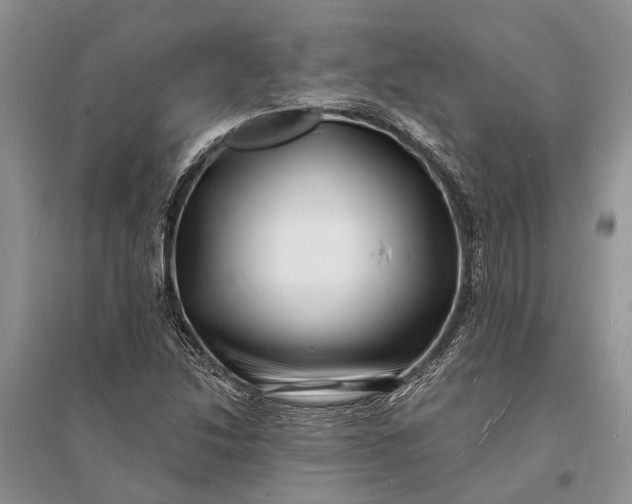 X0000096391214200802071529