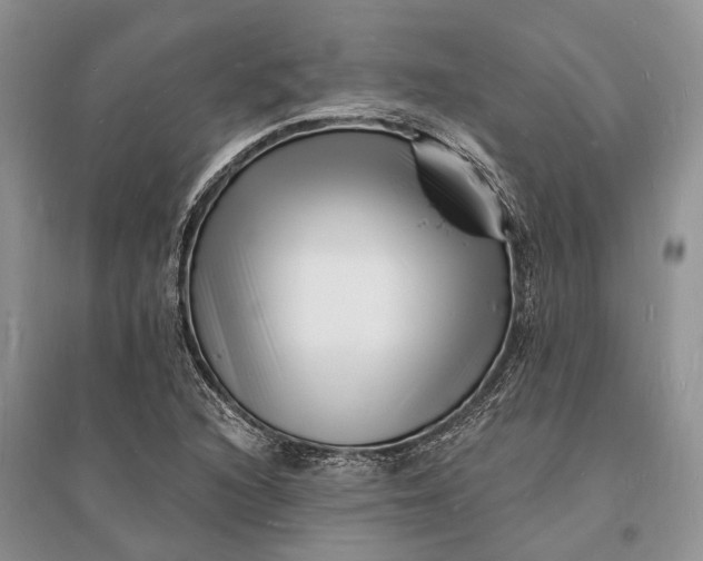 X0000096391216200802071529