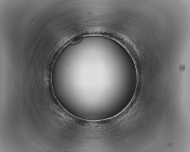 X0000096391217200802071529