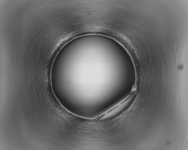 X0000096391218200802071529
