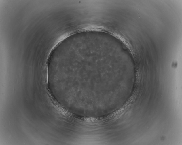 X0000096391219200802071529