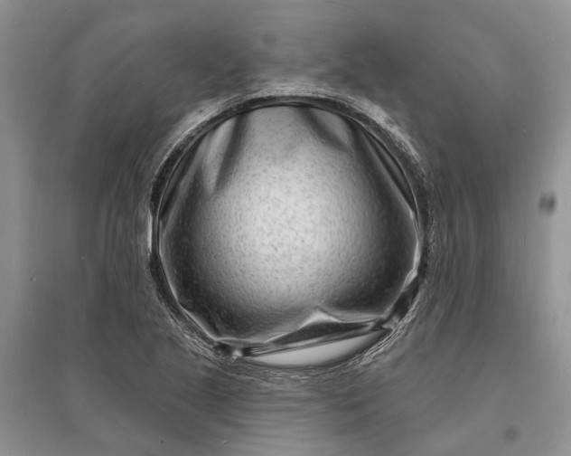 X0000096391221200802071529