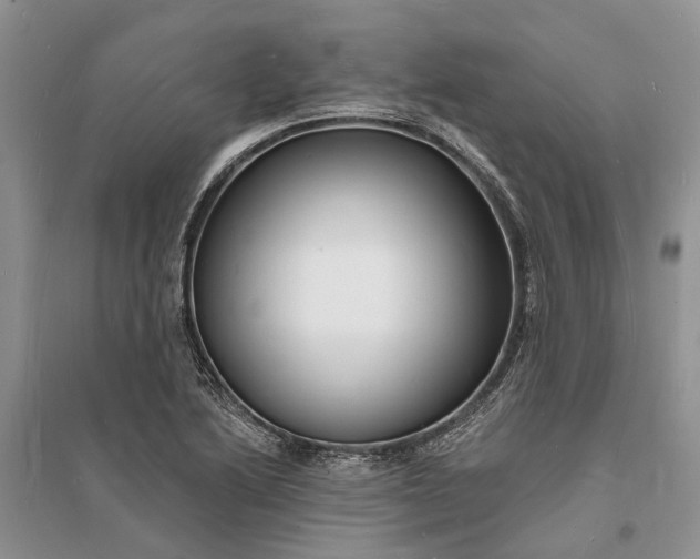 X0000096391222200802071529