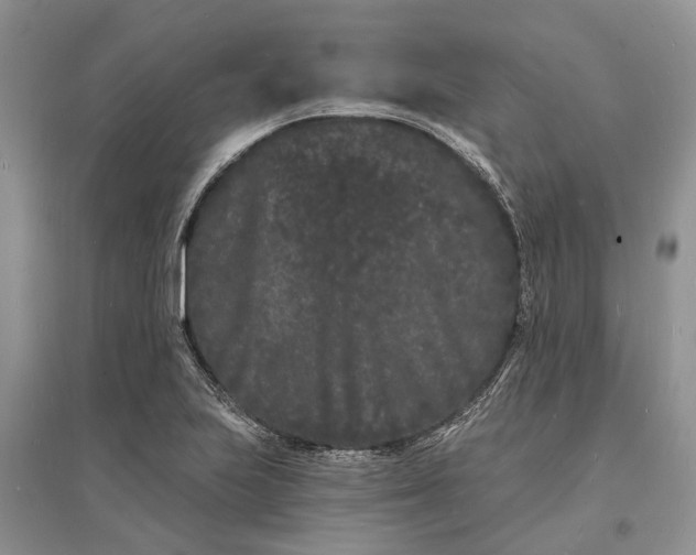 X0000096391223200802071529