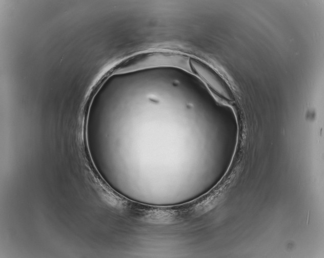 X0000096391224200802071529