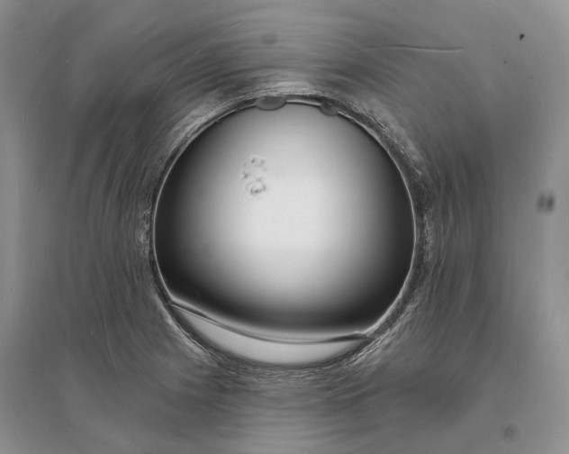 X0000096391225200802071529