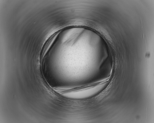 X0000096391226200802071529