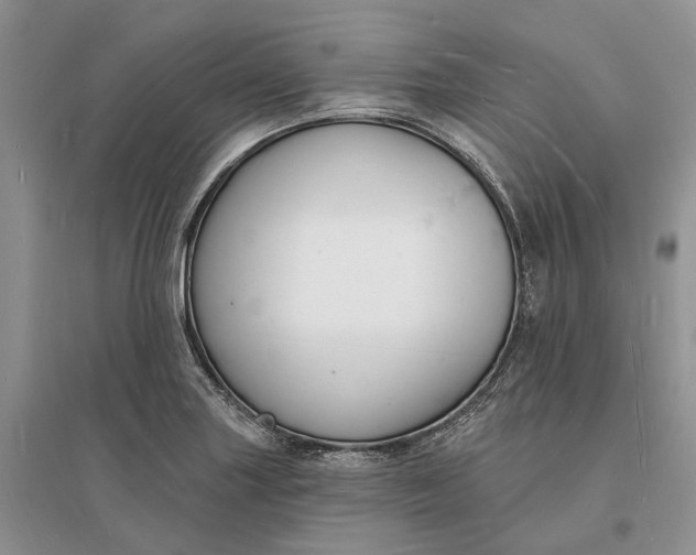 X0000096391227200802071529