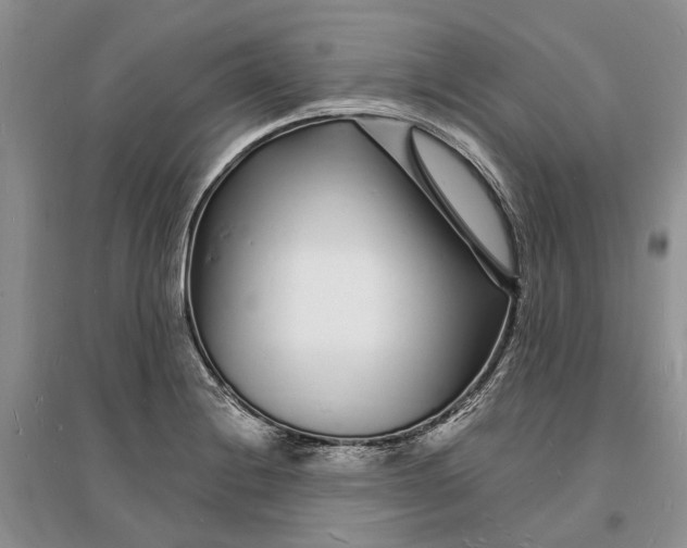X0000096391228200802071529