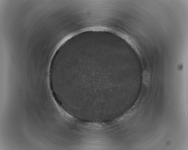X0000096391229200802071529