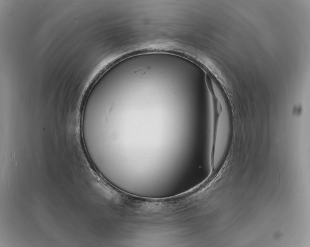 X0000096391232200802071529