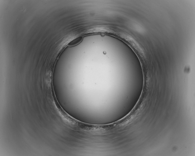 X0000096391233200802071529