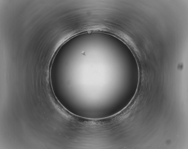 X0000096391234200802071529