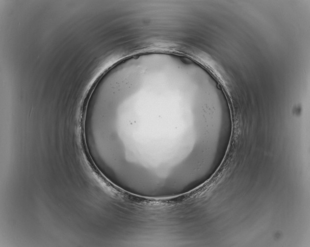 X0000096391235200802071529