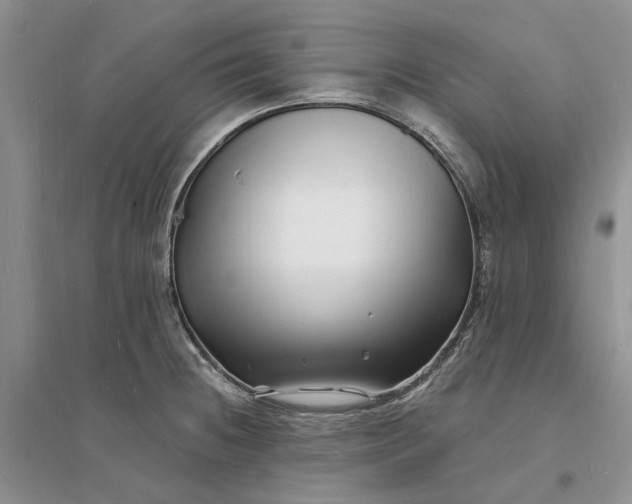 X0000096391236200802071529