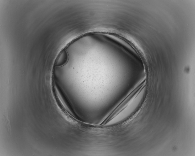 X0000096391237200802071529