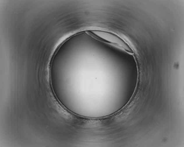 X0000096391238200802071529