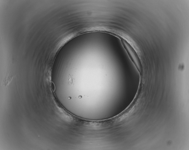 X0000096391241200802071529