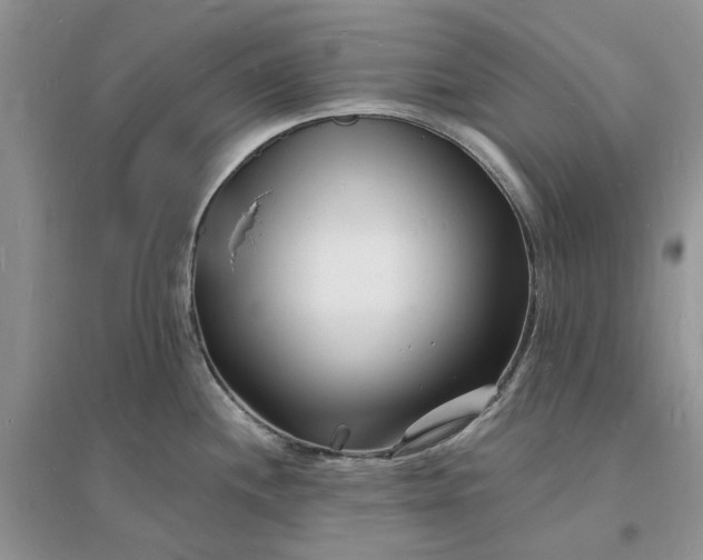 X0000096391244200802071529