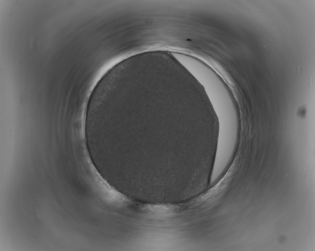 X0000096391246200802071529