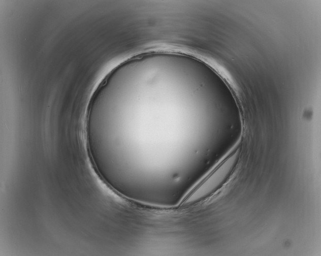 X0000096391247200802071529