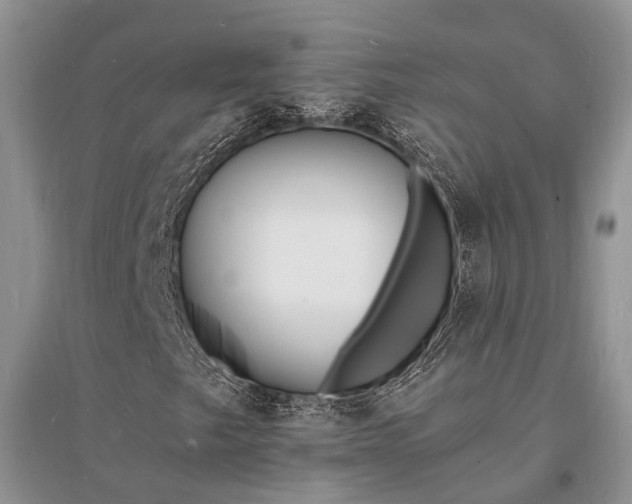 X0000096391249200802071529