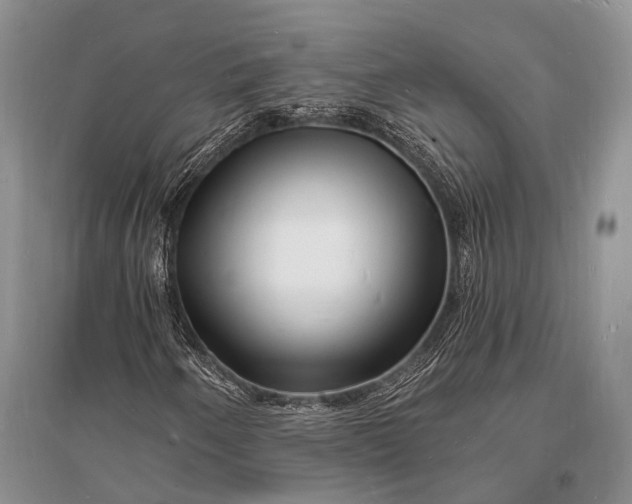 X0000096391250200802071528