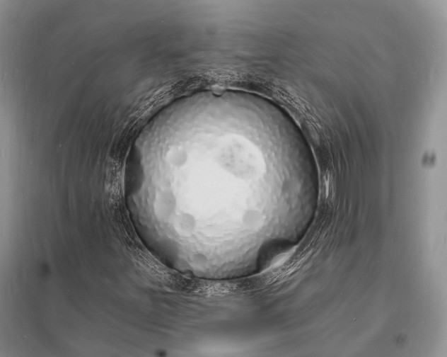 X0000096391251200802071528