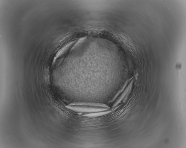 X0000096391252200802071528