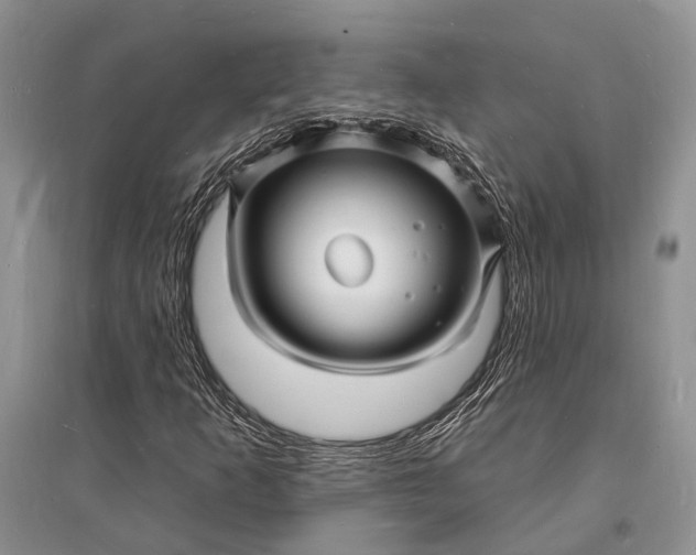 X0000096391253200802071528