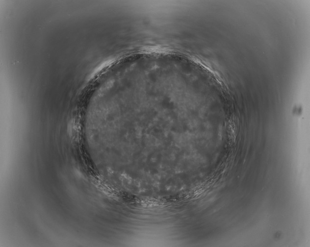 X0000096391254200802071528