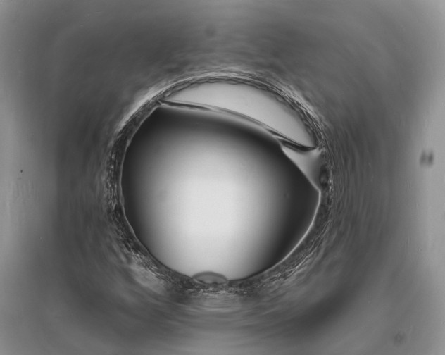 X0000096391256200802071528