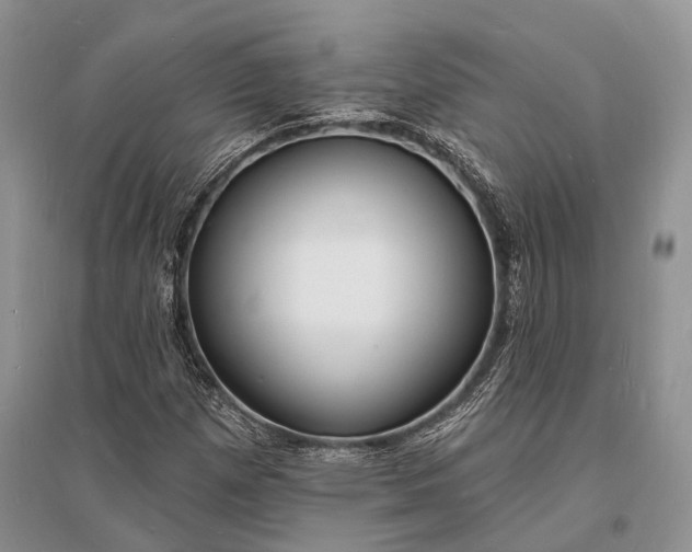 X0000096391257200802071528