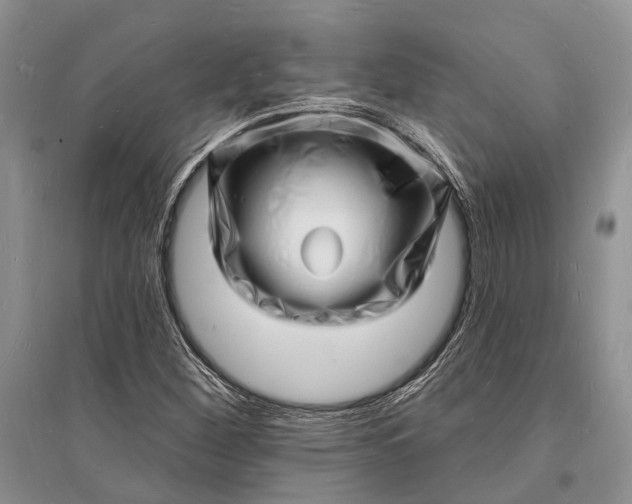 X0000096391260200802071528