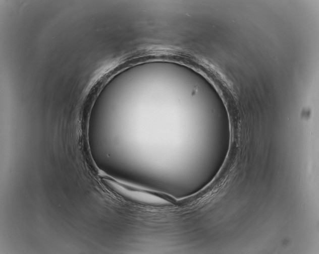 X0000096391261200802071528