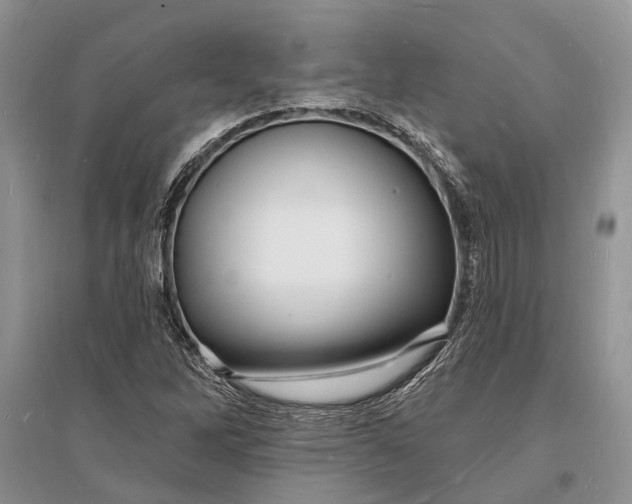 X0000096391262200802071528