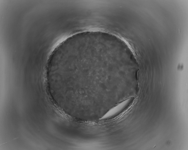 X0000096391263200802071528