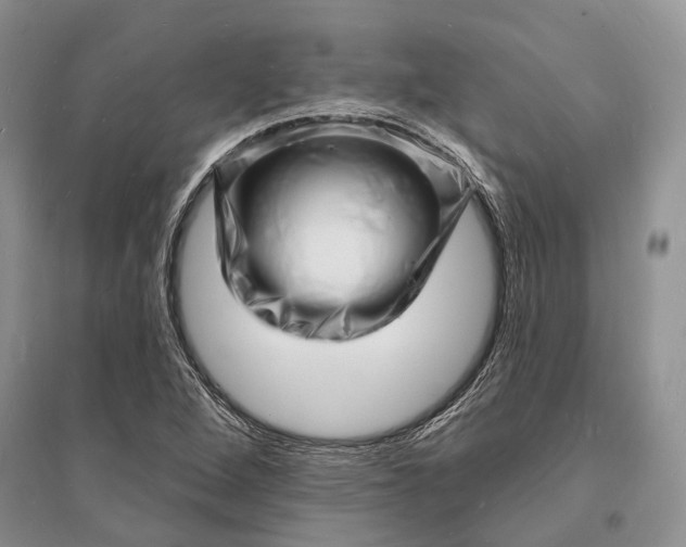 X0000096391264200802071528